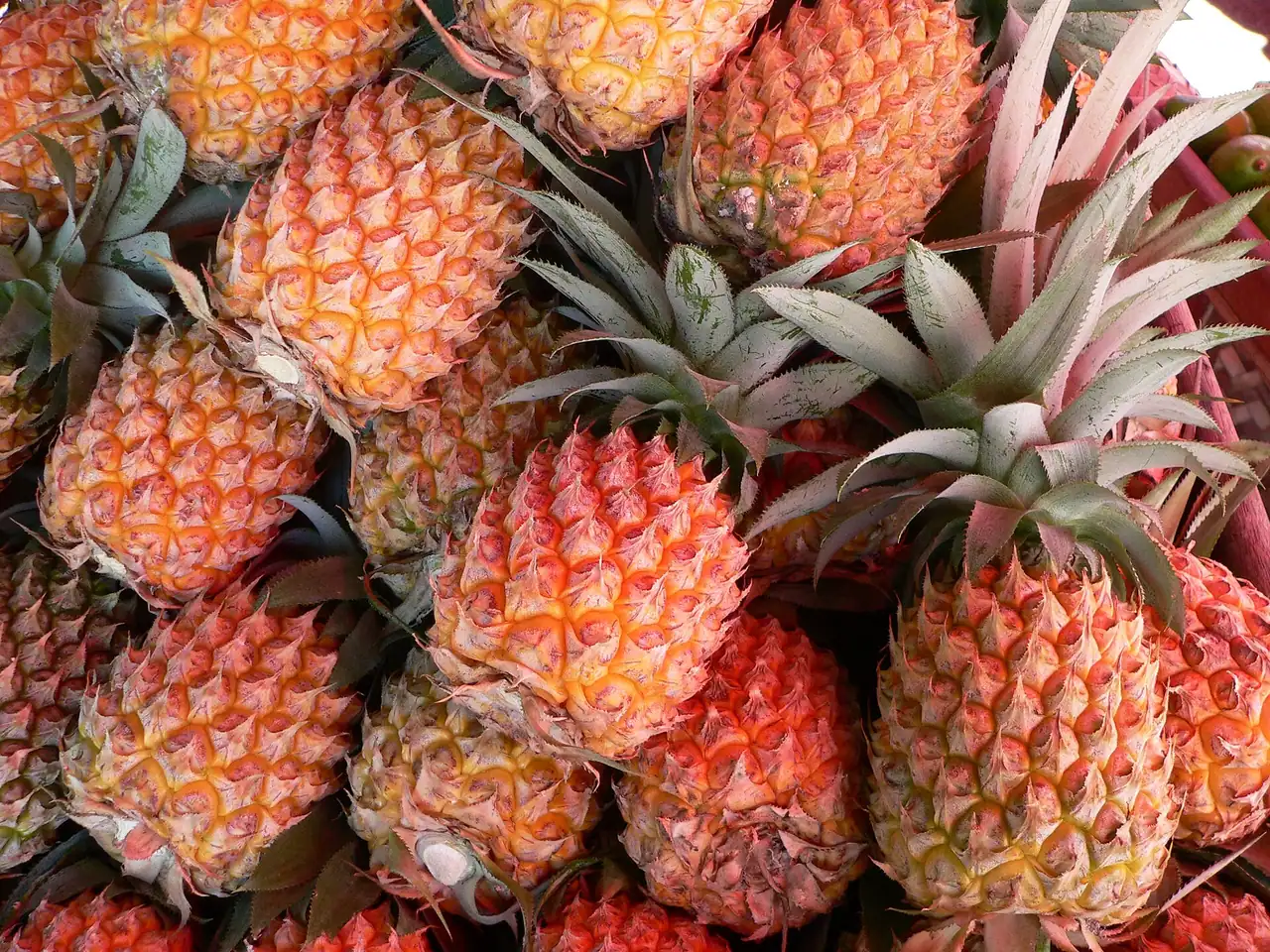 Pineapple
