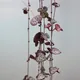 String of hearts