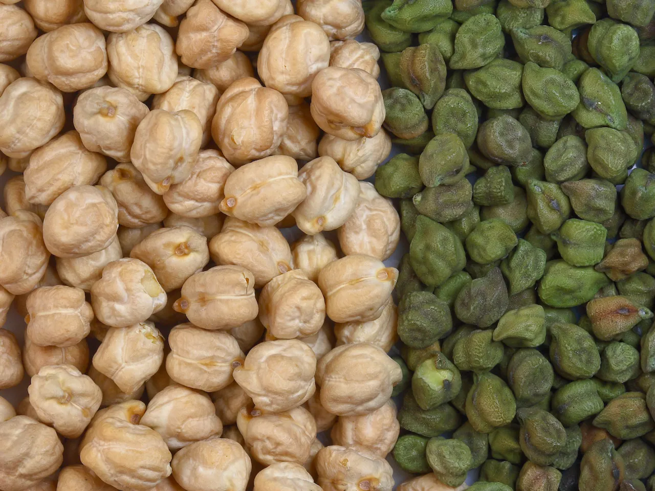 Bengal gram