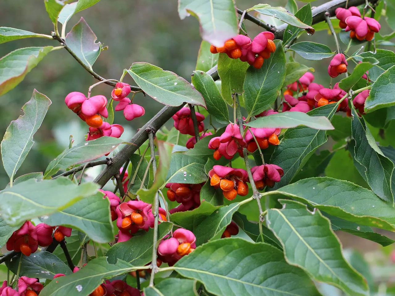 Common spindle