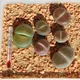 Lithops aucampiae