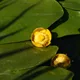Yellow cowlily