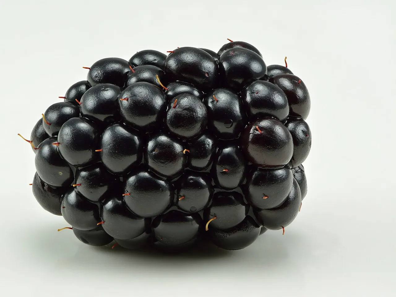 Blackberry
