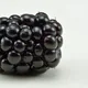 Blackberry